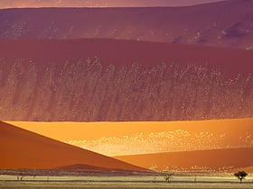 Parque nacional de Namib-Naukluft