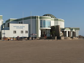 Nationales Maritimes Aquarium von Namibia