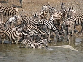 Parc national d'Etosha