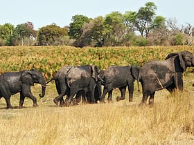 parque nacional de bwabwata