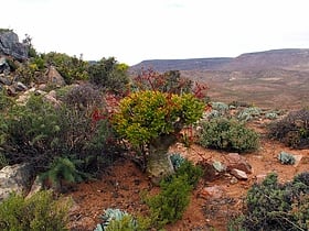 parque transfronterizo de ai ais richtersveld