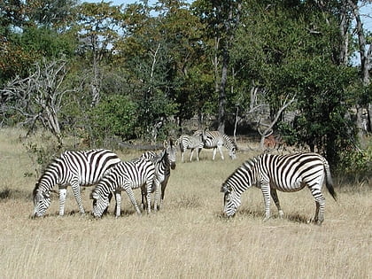 tourism in namibia namibrand nature reserve