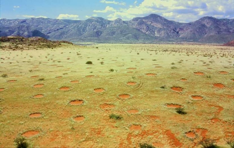 Parc naturel de Namib-Rand