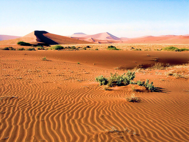 Parque nacional de Namib-Naukluft
