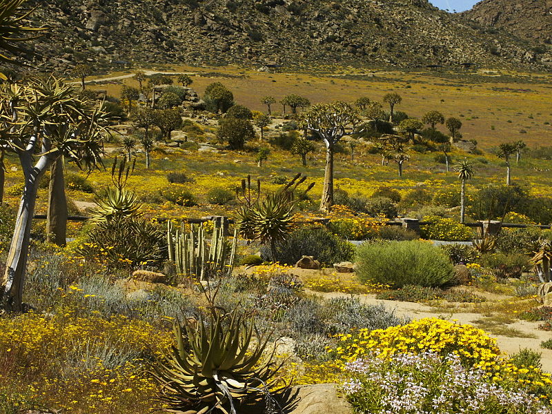 Namaqualand