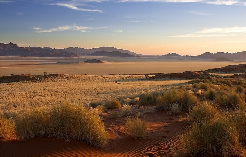 Parc naturel de Namib-Rand, Namibie