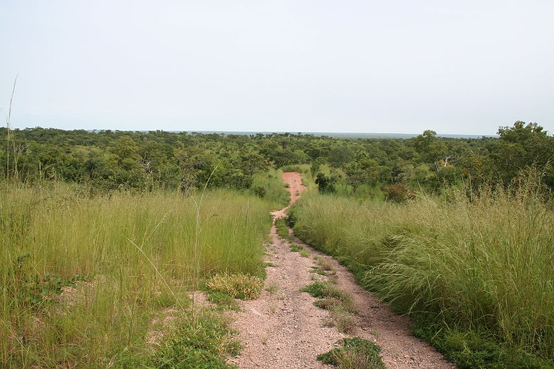 Parc national du W du Niger