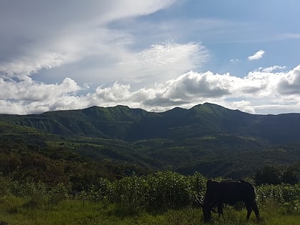 plateau de mambila parc national de gashaka gumti