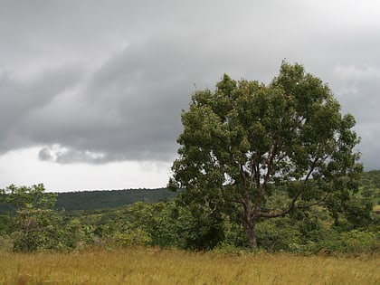 Parc national d'Okomu