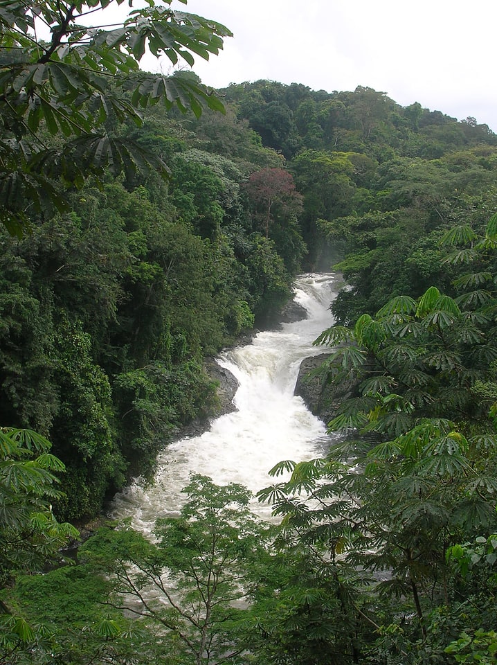 Parque nacional del Río Cross, Nigeria