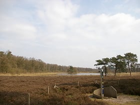 Parc national Utrechtse Heuvelrug