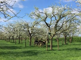 Historische Tuin Lent