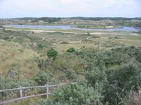 park narodowy zuid kennemerland