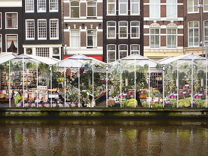 mercado de bloemen amsterdam