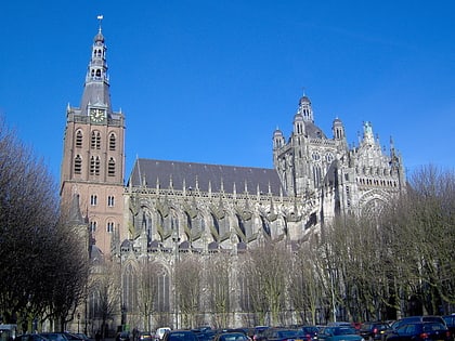 cathedrale de bois le duc