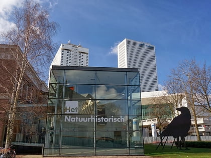 Musée d'histoire naturelle de Rotterdam
