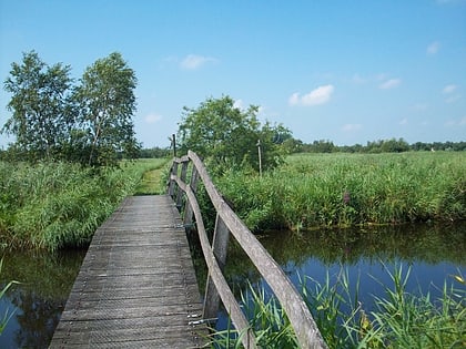 parque nacional de alde feanen