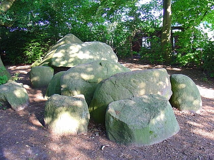 dolmens d3 and d4 tynaarlo