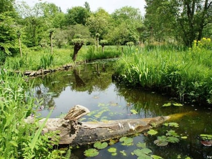 Heemtuin Westwijk