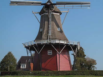 de hoop