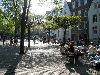 Spui