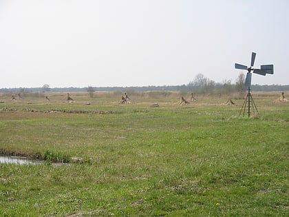 park narodowy weerribben wieden