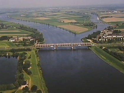 meuse de bergen