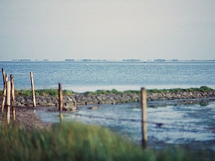grevelingenmeer