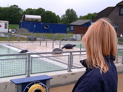 zeehondencentrum pieterburen hogeland