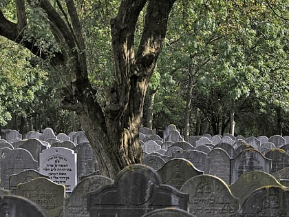 jewish cemetery of diemen amsterdam