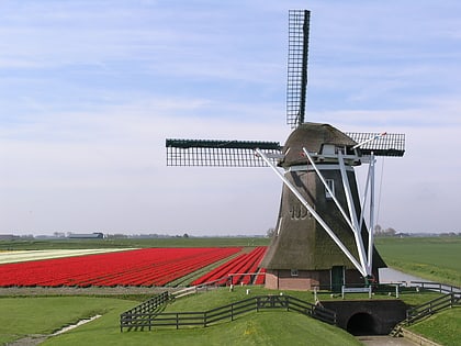 Windmill 'De Goliath'