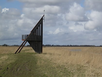 lauwersmeer national park