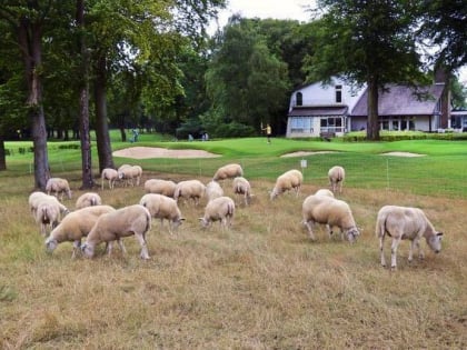 de zuid limburgse golf country club partij wittem