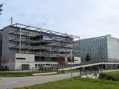 windesheim university of applied sciences zwolle