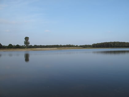 park narodowy de maasduinen