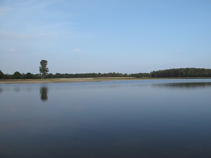 De Maasduinen National Park