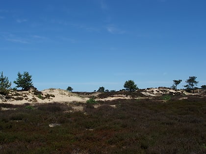 nationalpark drents friese wold