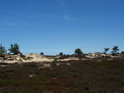 Drents-Friese Wold National Park