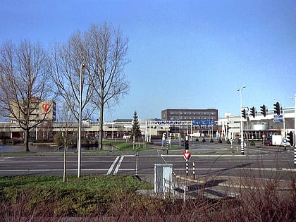 aalsmeer