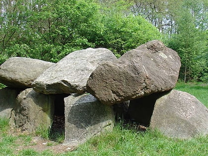 Großsteingräber bei Tynaarlo