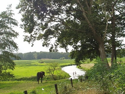 parc national drentsche aa