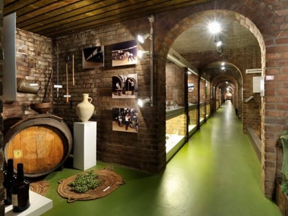 nederlands wijnmuseum arnhem
