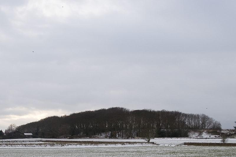 high mountain texel