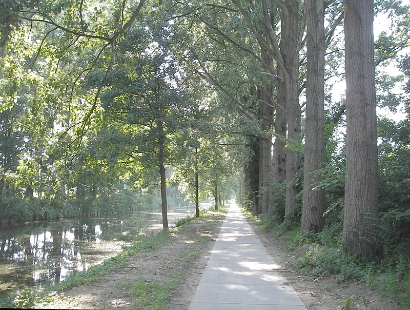 Canal d'Eindhoven