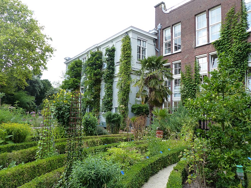 Hortus Botanicus Ámsterdam