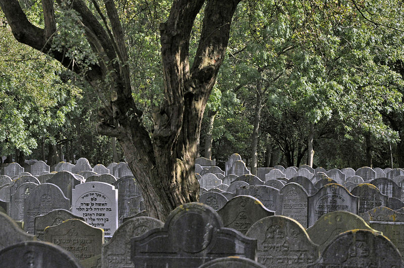 Jewish Cemetery of Diemen
