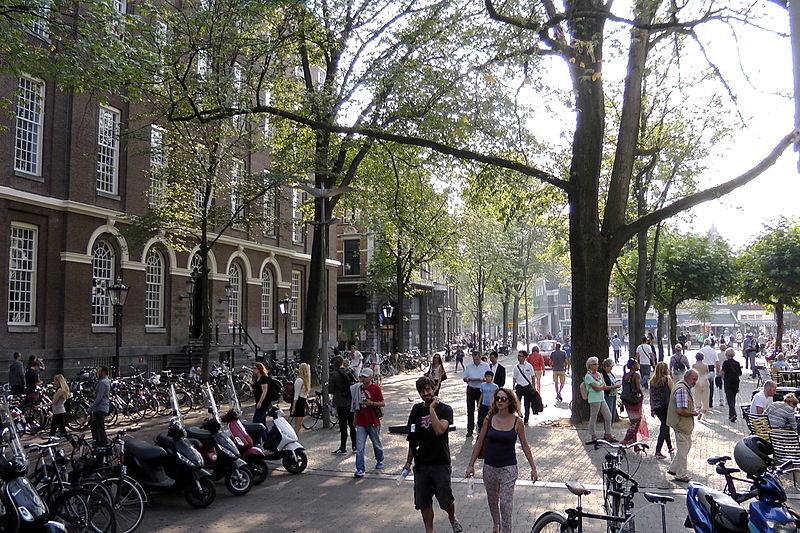 Spui