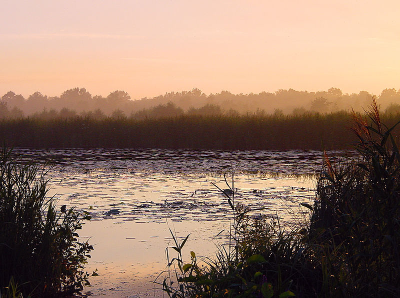 Weerribben-Wieden National Park