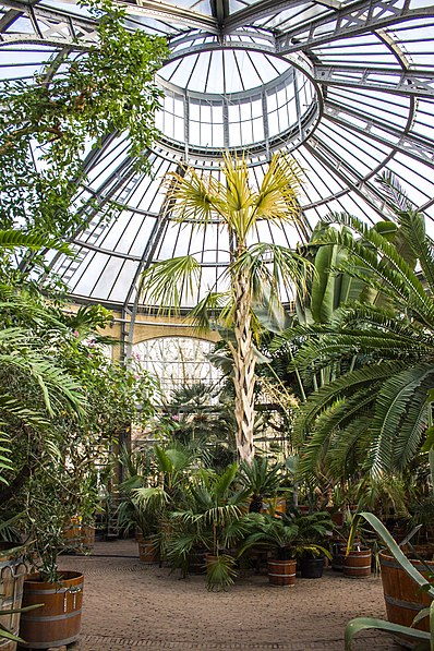 Jardin botanique d'Amsterdam