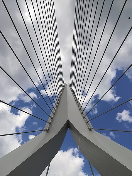 Erasmusbrücke